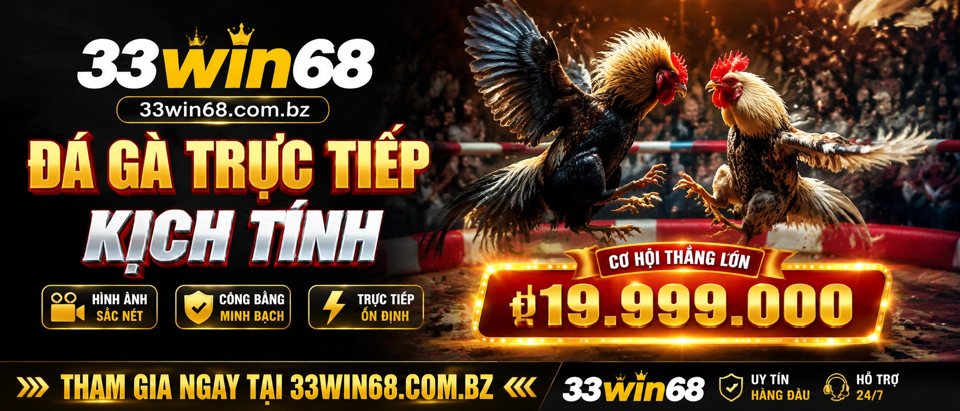 Featured cockfighting interface